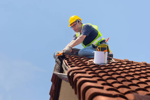 Best Roof Moss and Algae Removal  in Graymoor Devondale, KY